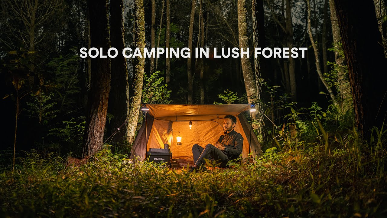 Solo Camping #131 | Bersantai di Hutan yang Rimbun, Masak Makan Malam, ASMR