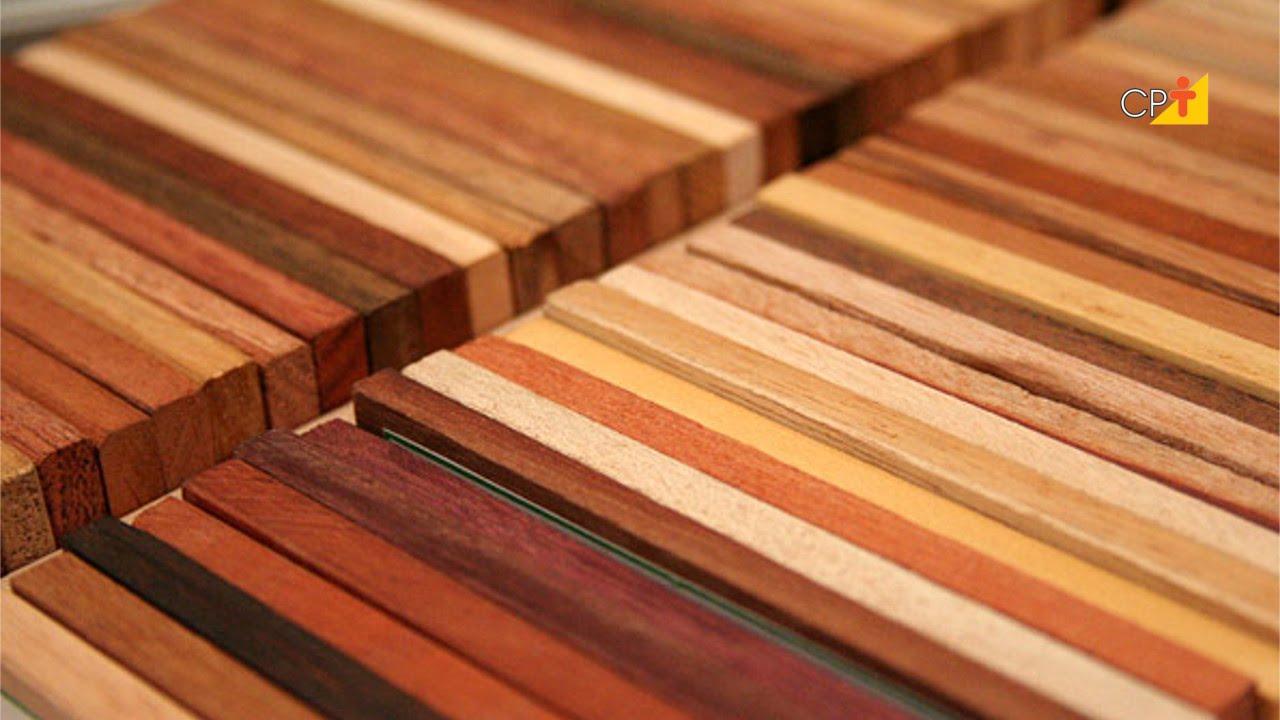 Madeiras - Curso a Dist&acirc;ncia Marcenaria - N&iacute;vel B&aacute;sico CPT