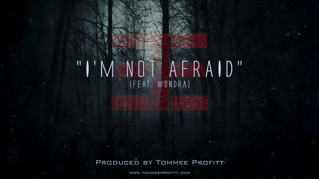 I'm Not Afraid (feat. Wondra) - Tommee Profitt