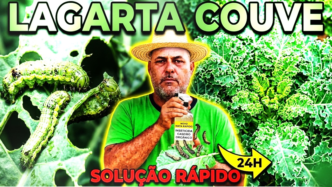 1 ERRO Lagarta + Segredo Limão que SALVA Couve em 1 Minuto