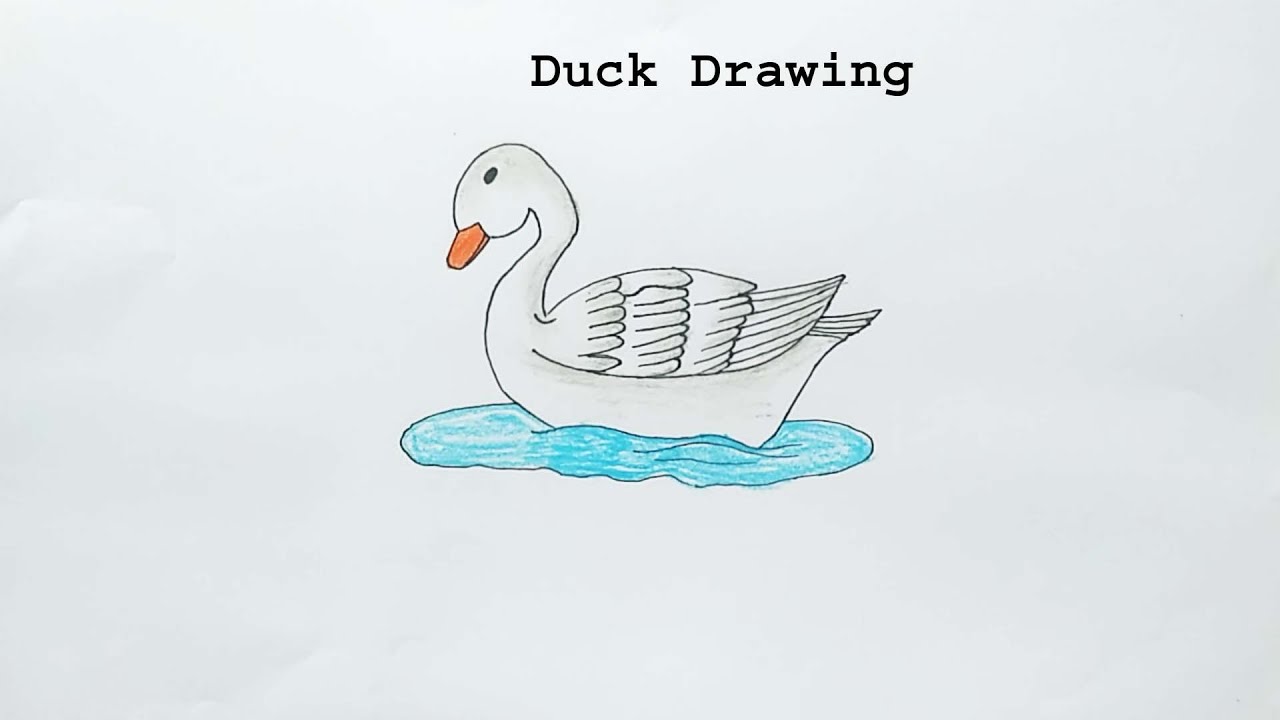 Easy Duck Drawing || How to Draw Duck Step by Step for Beginners || Drawing Duck easy