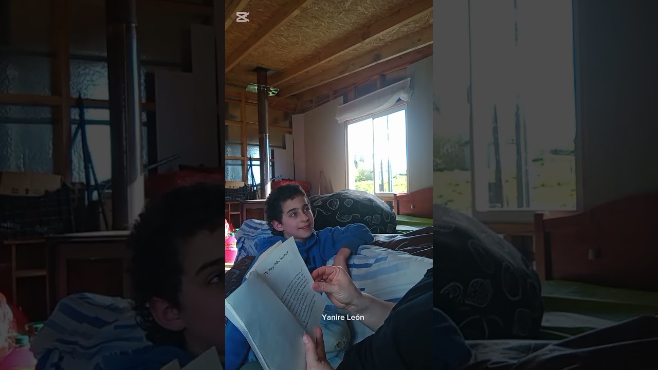 Preparando la prueba de lectura complementaria Judy Moody está de mal humor 