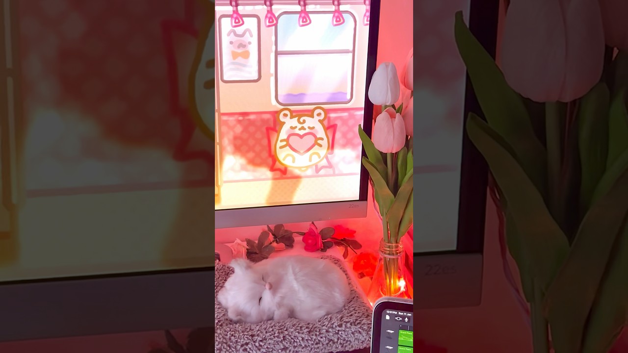 🎀Soft blush cozy desk setup 🖥️ 🎀 pc