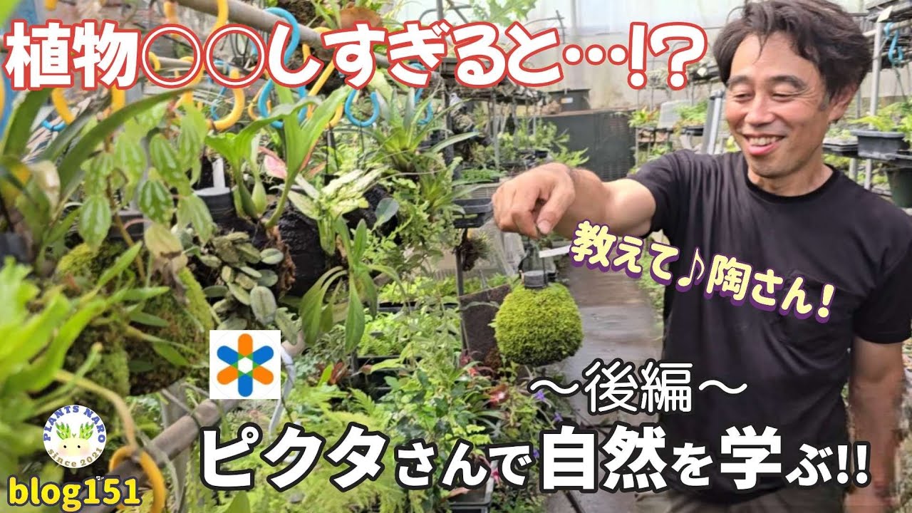 【課外授業!!後編】｢小さく育てる｣!?自然の仕組み・植物の生態を活かした栽培と伝えたいコト🌱