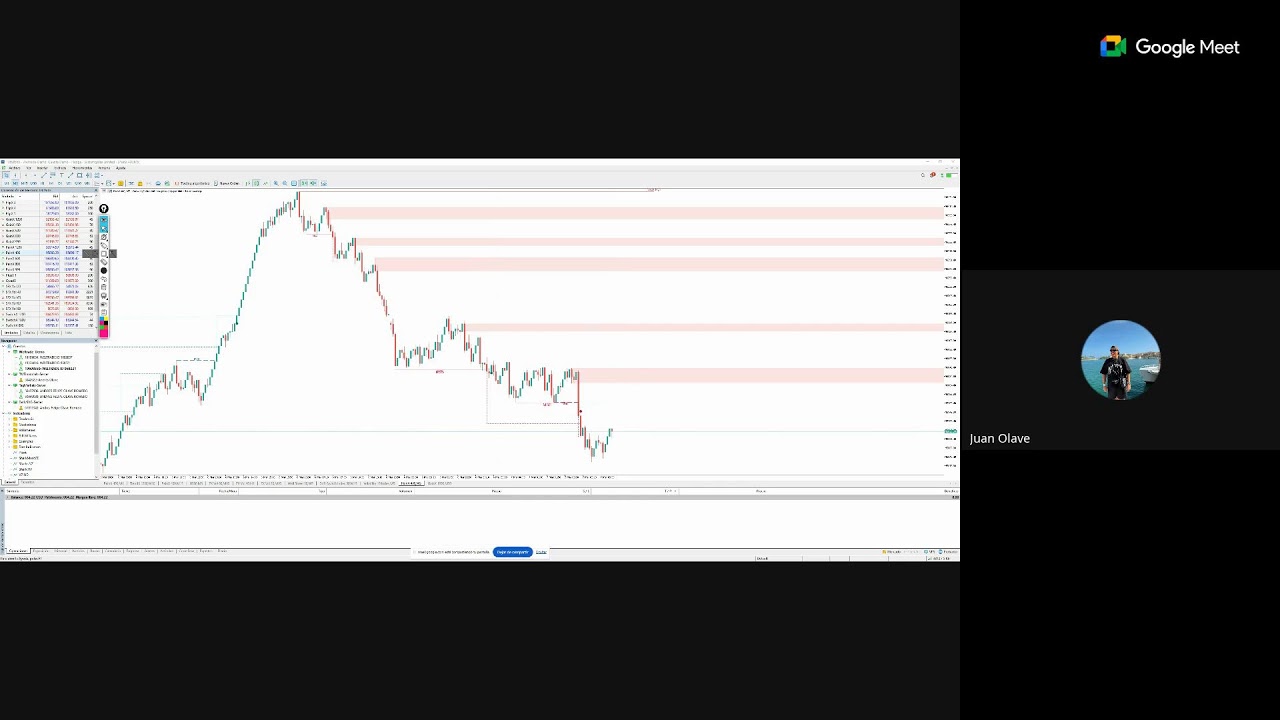 Clase 2-1 Sharks Synthetics