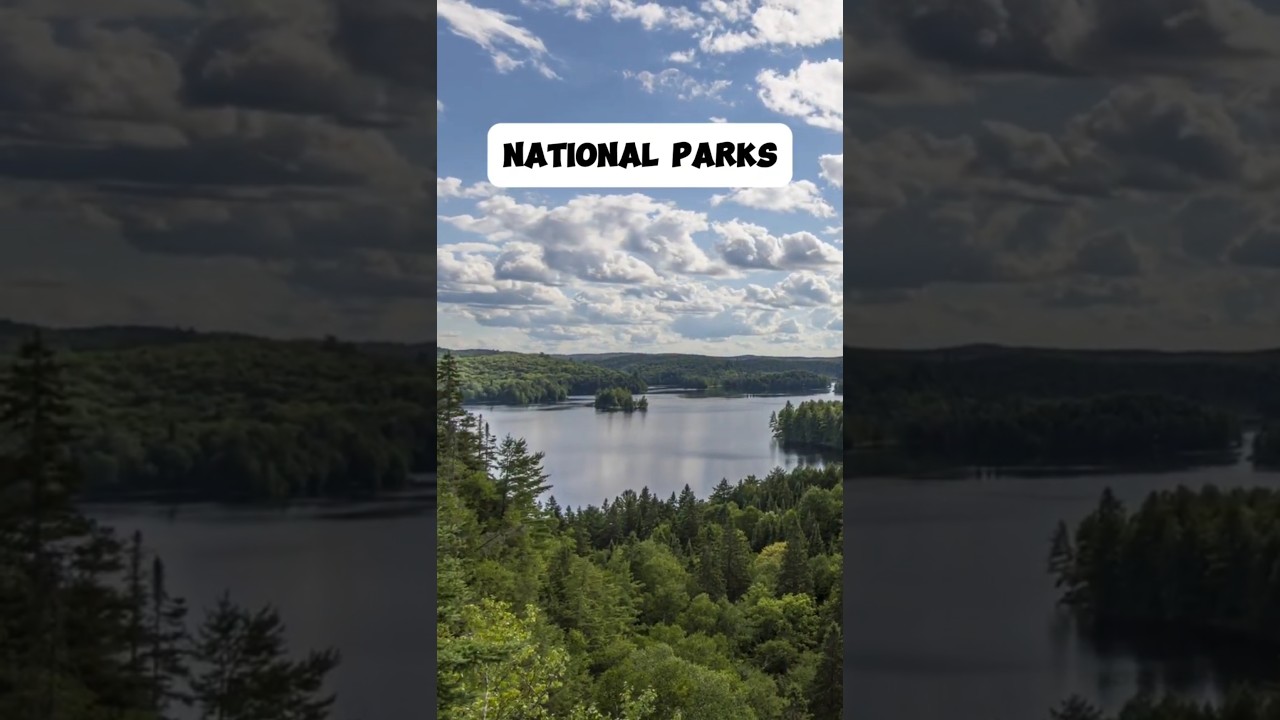 Difference between Wildlife sanctuary🦁 | National Park🏞️| Biosphere Reserve🦋 