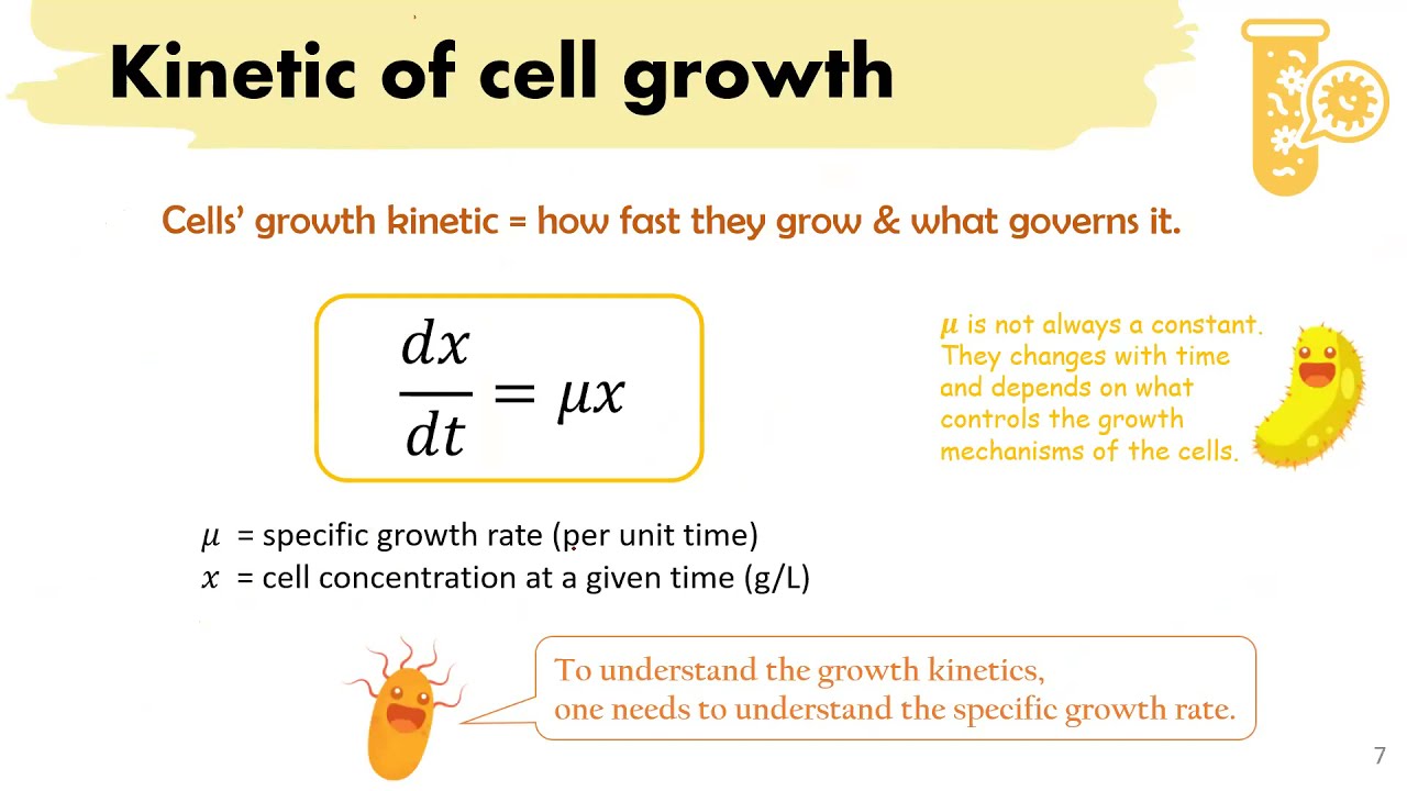 CTU lecture - microbial kinetics