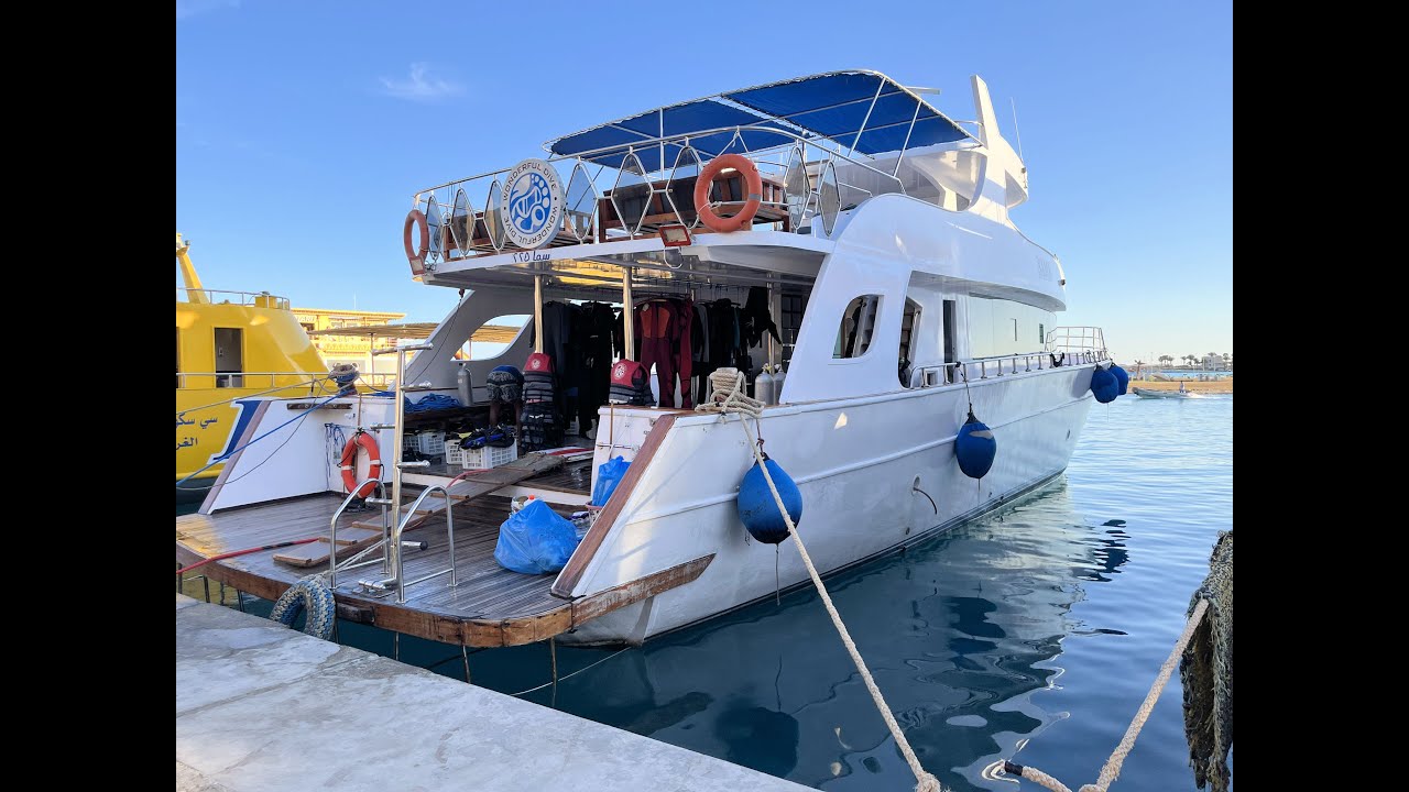 Plongée - Port-Ghalib