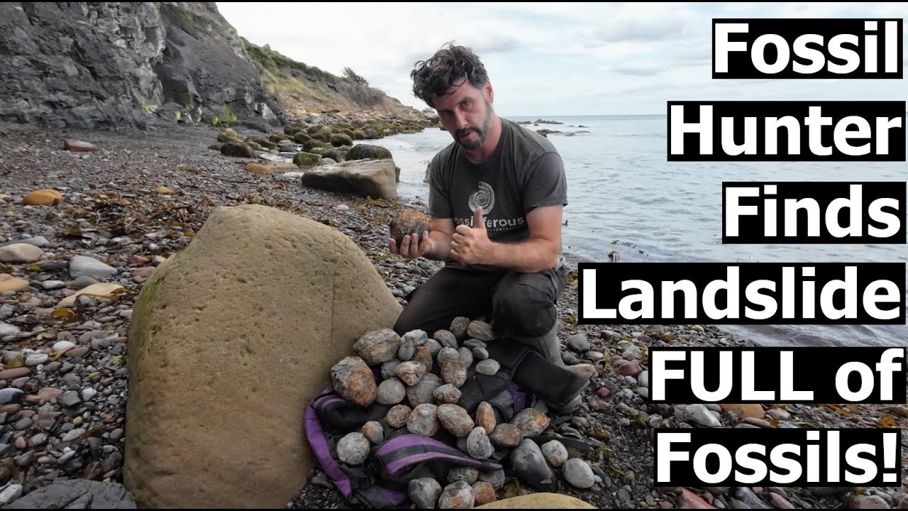 Fossil Hunter finds a fresh Landslide FULL of Fossils