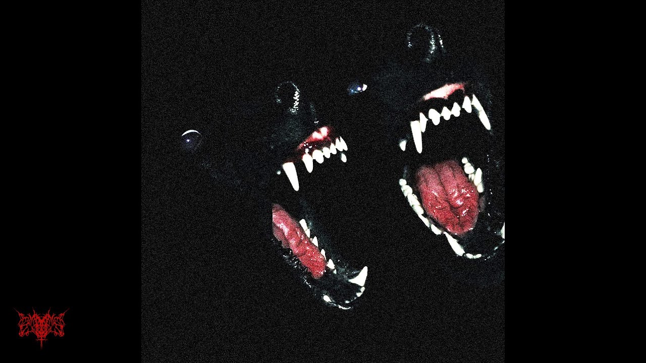 [FREE] CITY MORGUE X ZILLAKAMI X SOSMULA TYPE BEAT ~ CANINES | PROD. JAMES GOLD