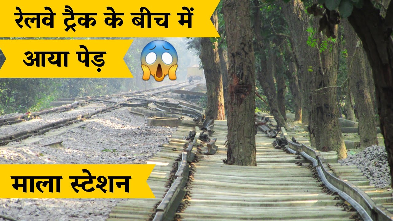 ट्रैक के बीच में पेड़ || Mala railway station || Pilibhit-shahgarh gauge conversion || Pilibhit