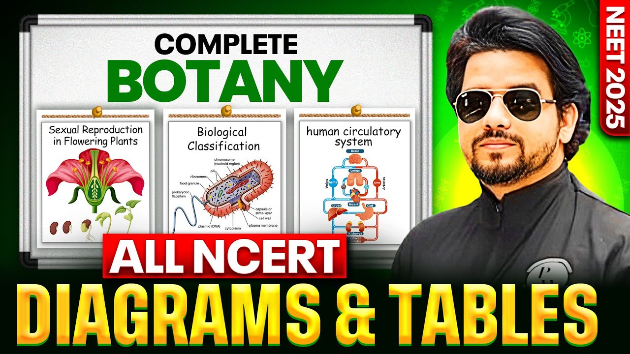 NEET 2025 Botany: All NCERT Diagrams & Tables | Complete Botany Revision