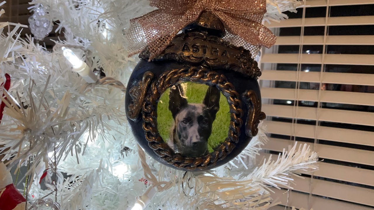 Christmas Ornament for K-9 Astra