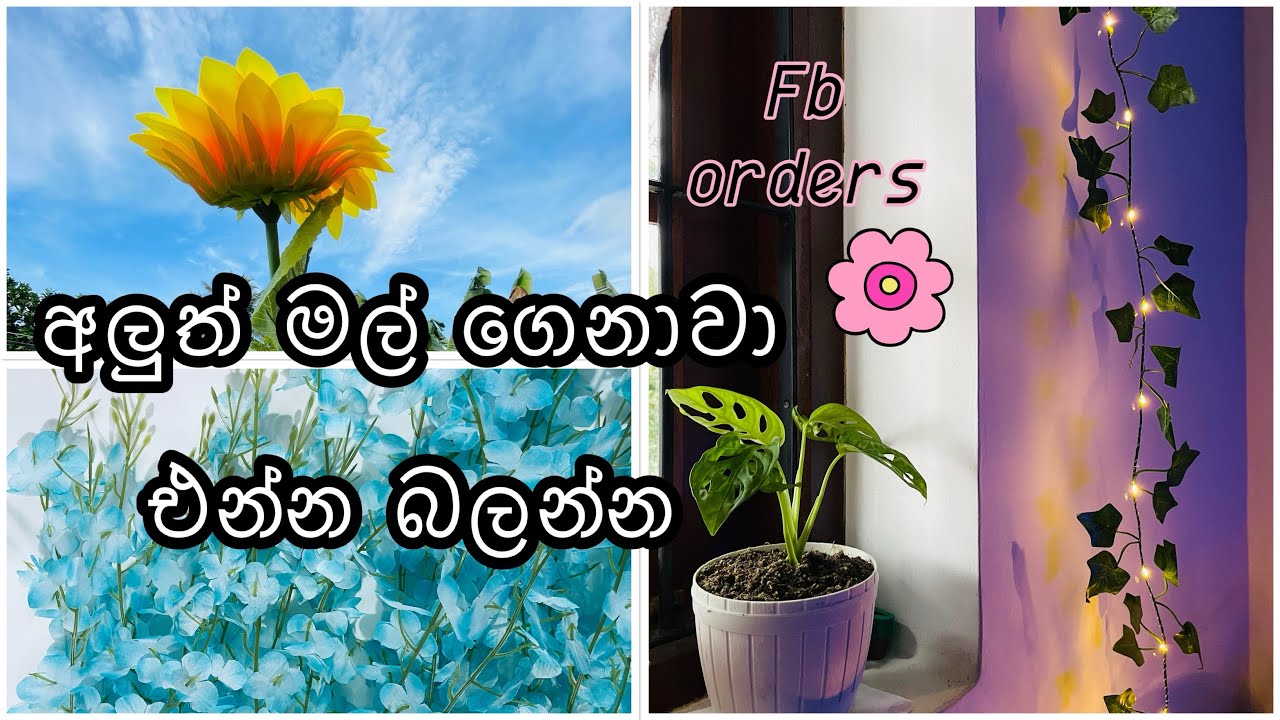 අලුත් මල් ගෙනාව ඔන්න 😍| A day in my flower business 🌸 #youtube #roomdecor #viral