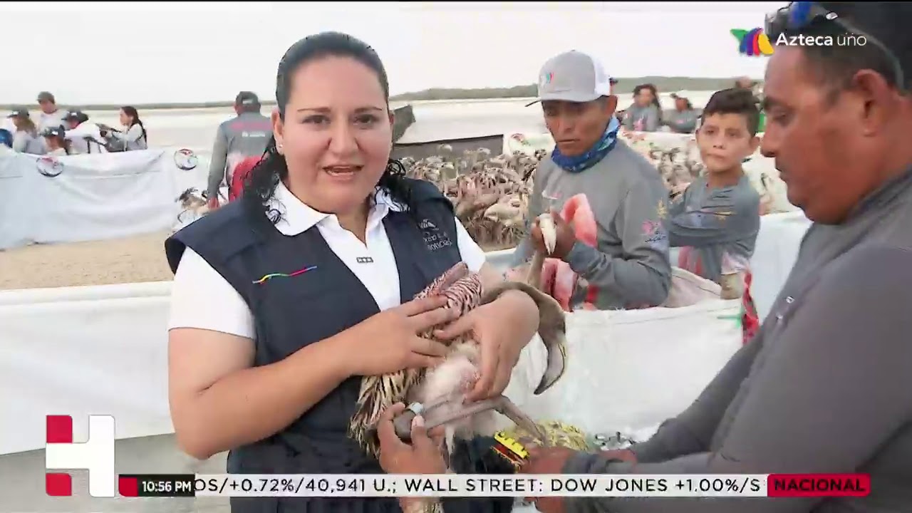 Biosfera Ría Lagartos, un paraíso natural que se pinta de rosa