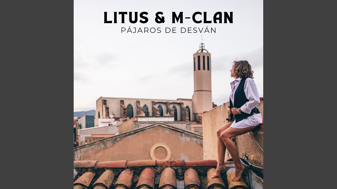 Pájaros de Desván