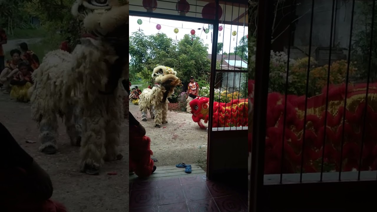 Barongsai dari paloh