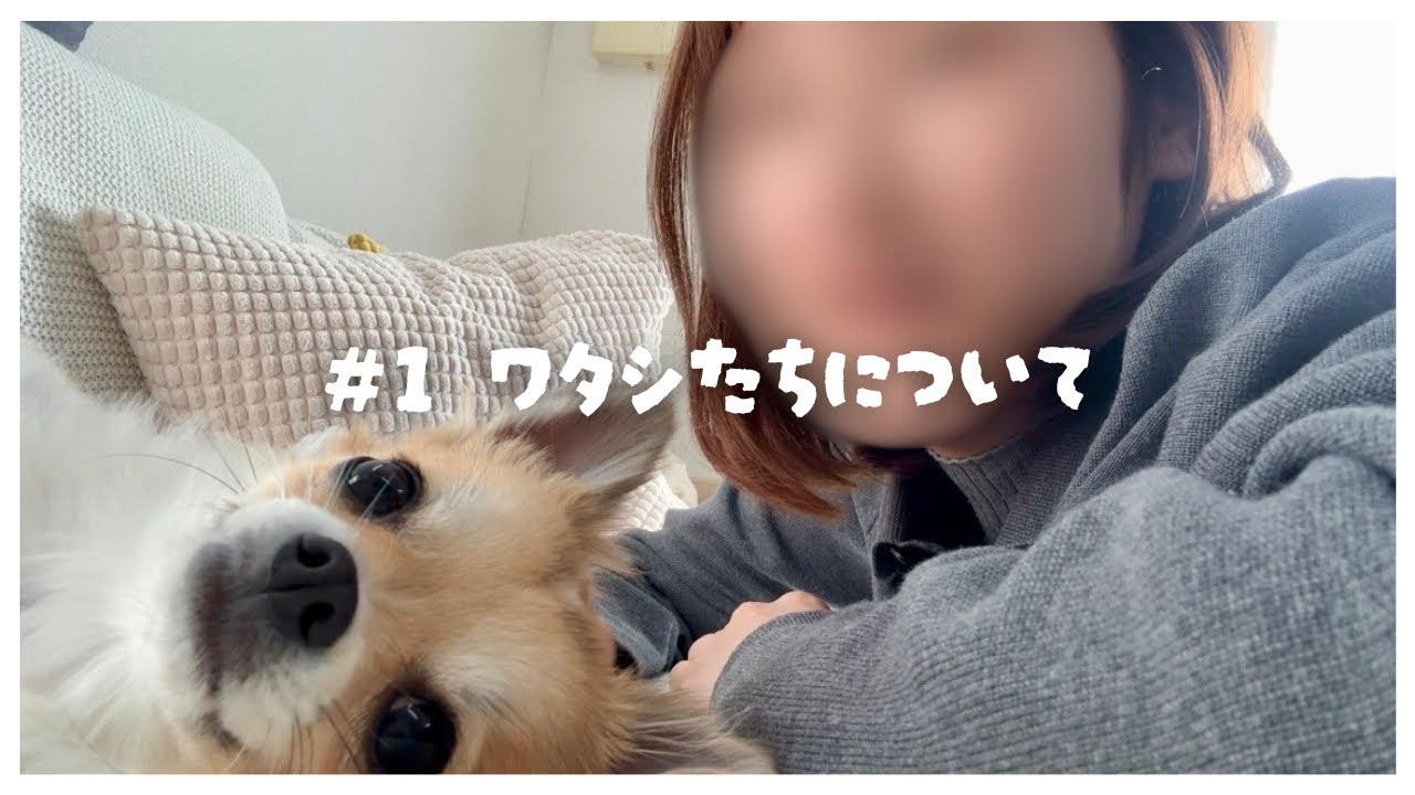 Podcast EP.01｜適応障害だった私がチワワのモマとお話しします｜自己紹介/YouTubeとポッドキャストを始めた理由/ラジオの好きなところ