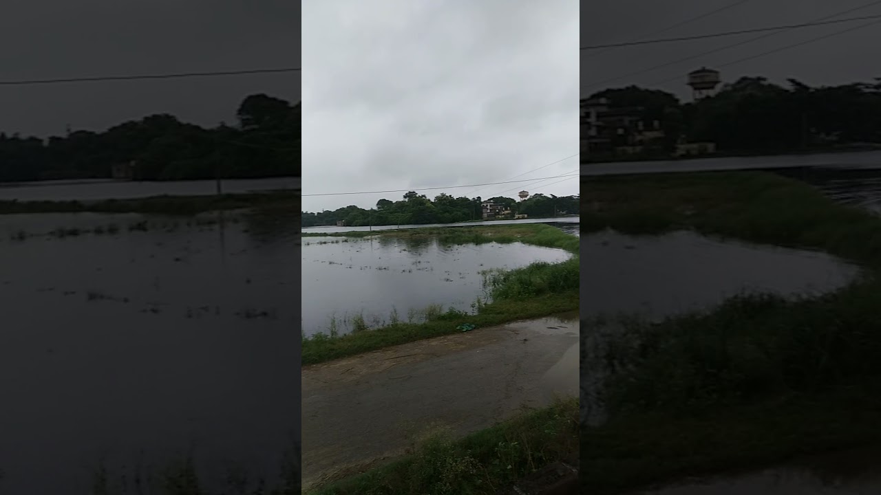 flood at DS gurukul dhaurahara vns-1 (11 August 2021)