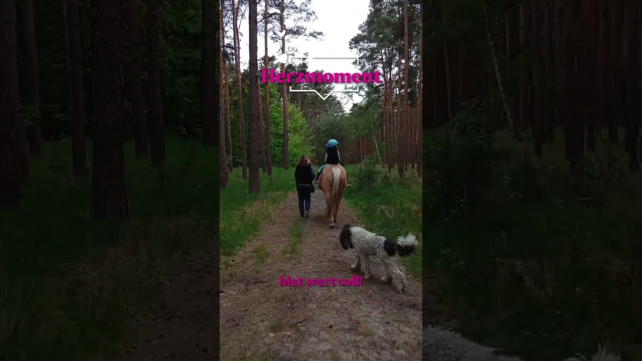 ⏳ 30 Sekunden lang nur das Auffußen von Hufen und Pfoten in einem friedlichen Moment. 🐎🐩🍃