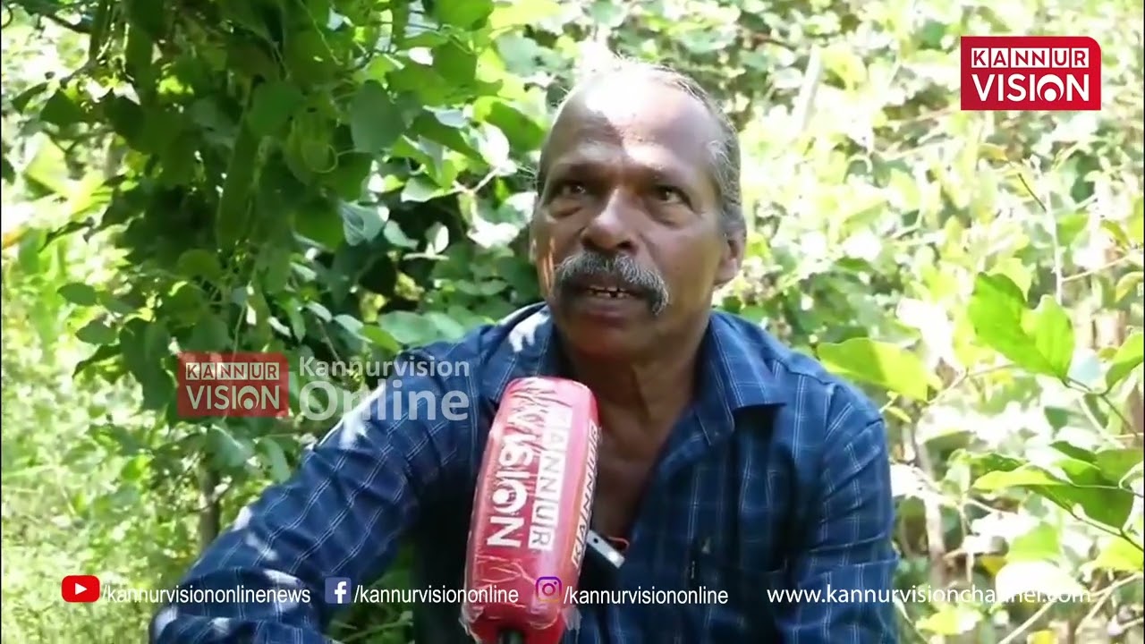 അമരക്കൃഷിയിലൂടെ വിസ്മയം തീര്‍ത്ത് പട്ടുവം സ്വദേശി ഗോപി തല്ലേരി ;