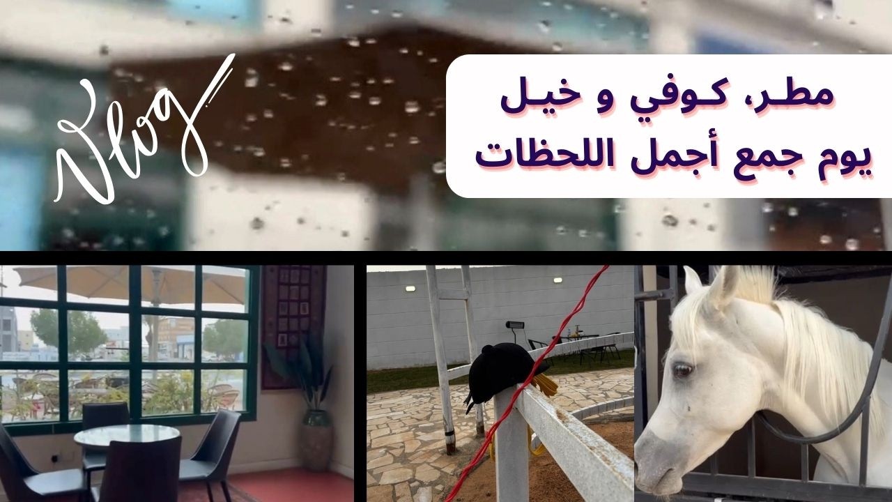 مطر وكوفي وخيل يوم واحد جمع لي أجمل اللحظات.. استمتعووو