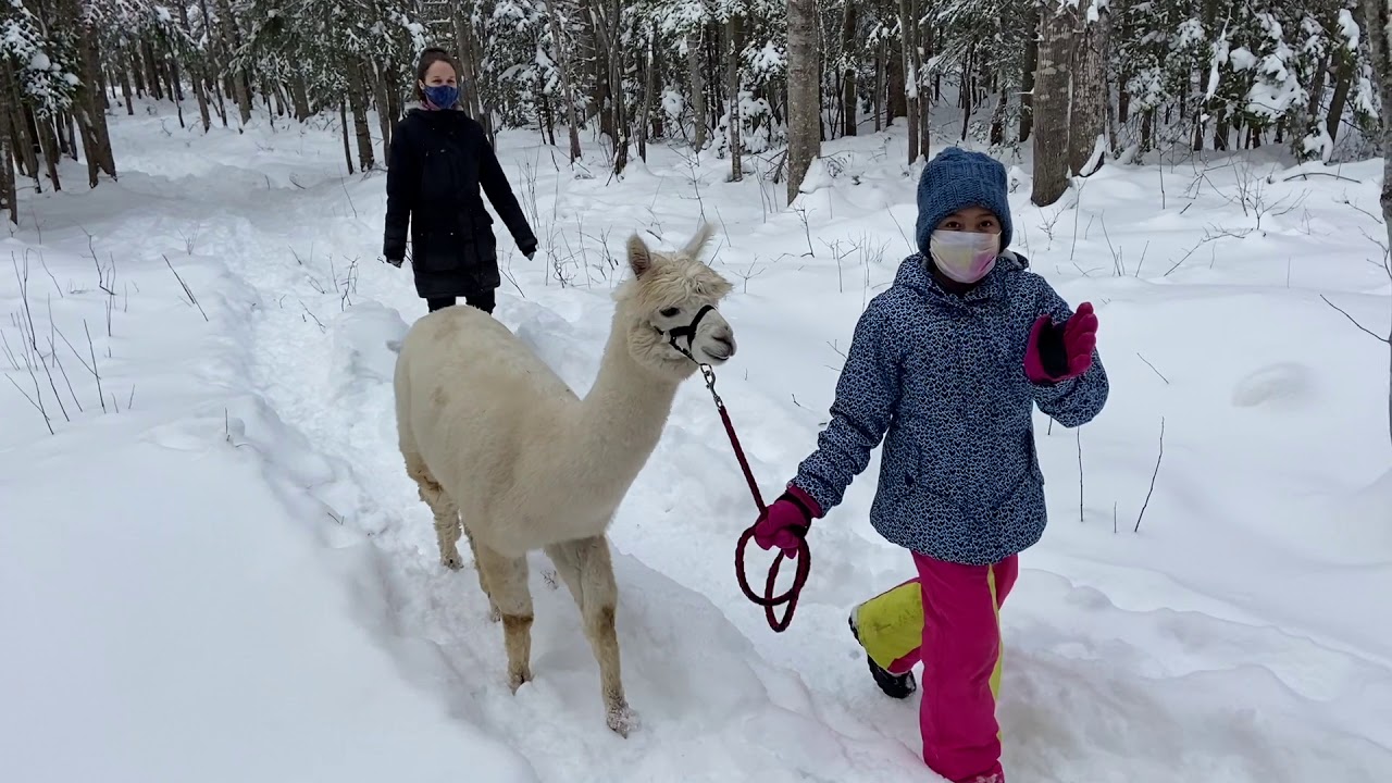 Llama-zing Adventures with Nevaeh & Aniyah