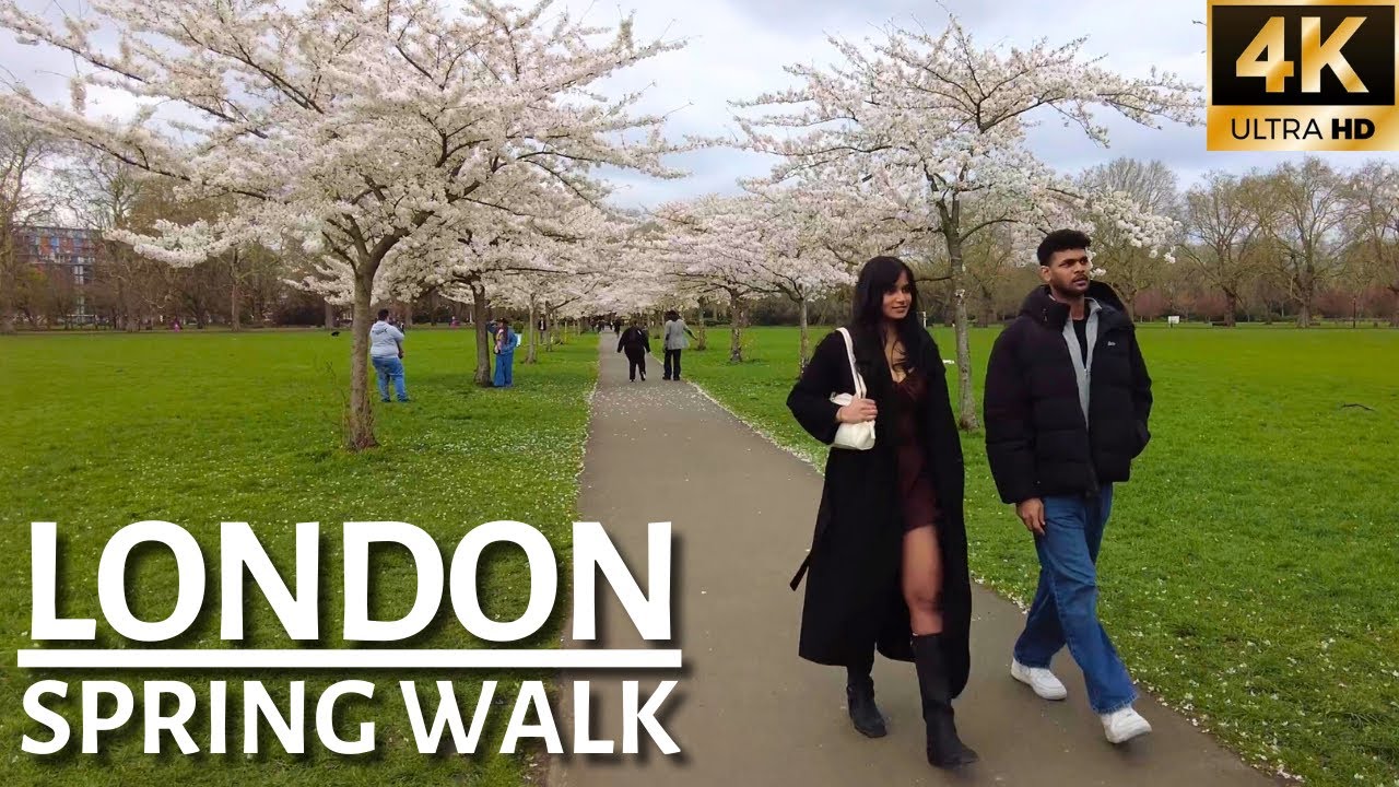 🌸 Spring Has SPRUNG As Cherry Blossoms Bloom In Battersea Park 🌸 | LONDON SPRING WALK [4K]