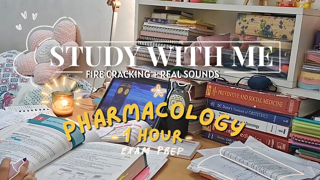 1 HOUR STUDY WITH ME (no breaks) | fire crackling + background sounds | exam prep!