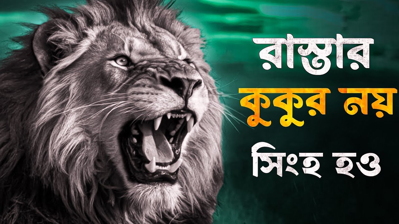 রাস্তার কুকুর নয় জঙ্গলের সিংহ হও | The Lion Mentality 💥-Most Powerful Motivational Video in Bangla|