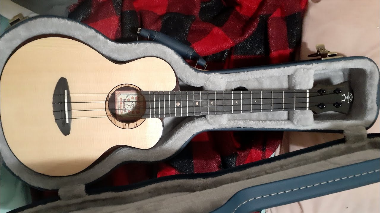 Worth Brown VS Worth Clear Ukulele String Comparison