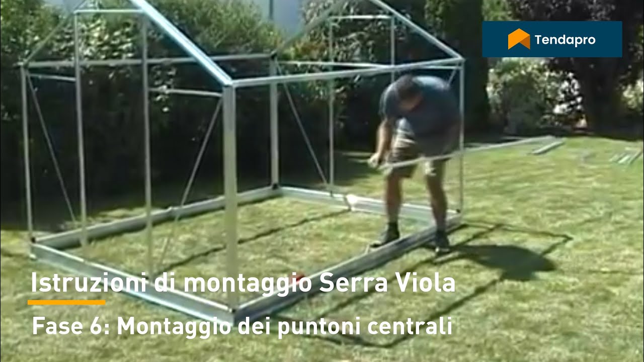 VIOLA - Fase 6 Montaggio dei puntoni centrali