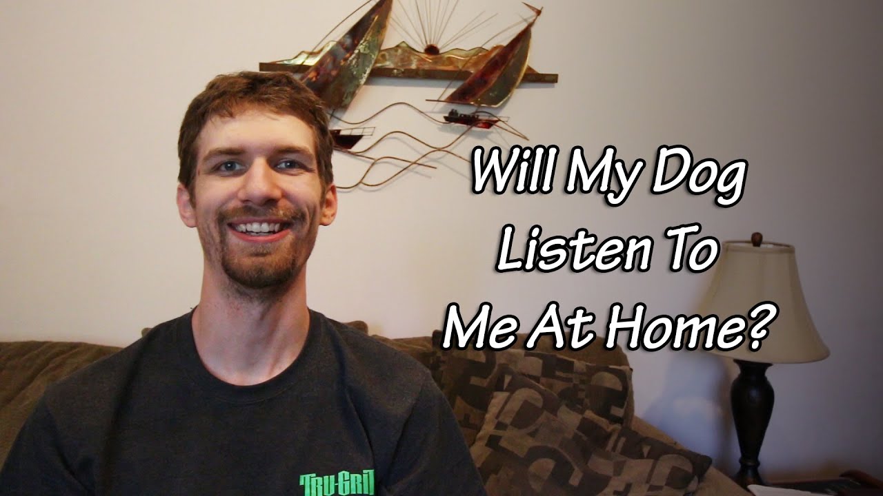 Will My Dog Listen To Me At Home? | Private Dog Training That Works