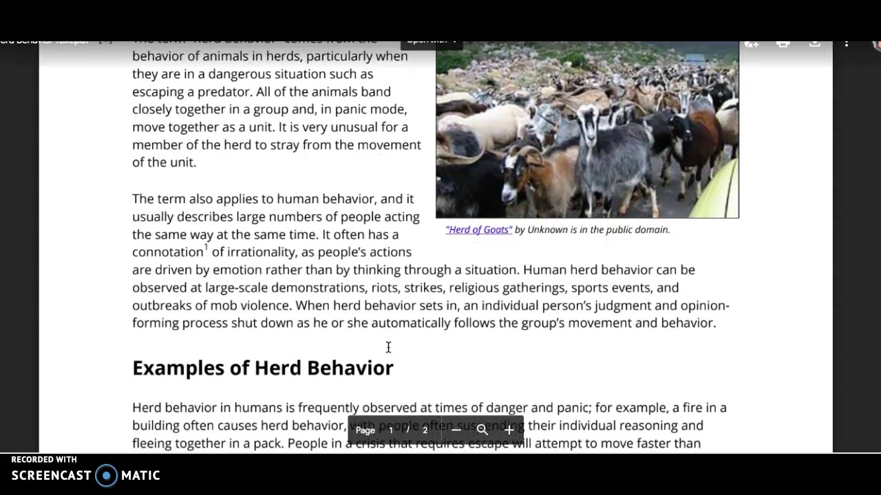 Herd Behavior, Non-Fiction Text Audio