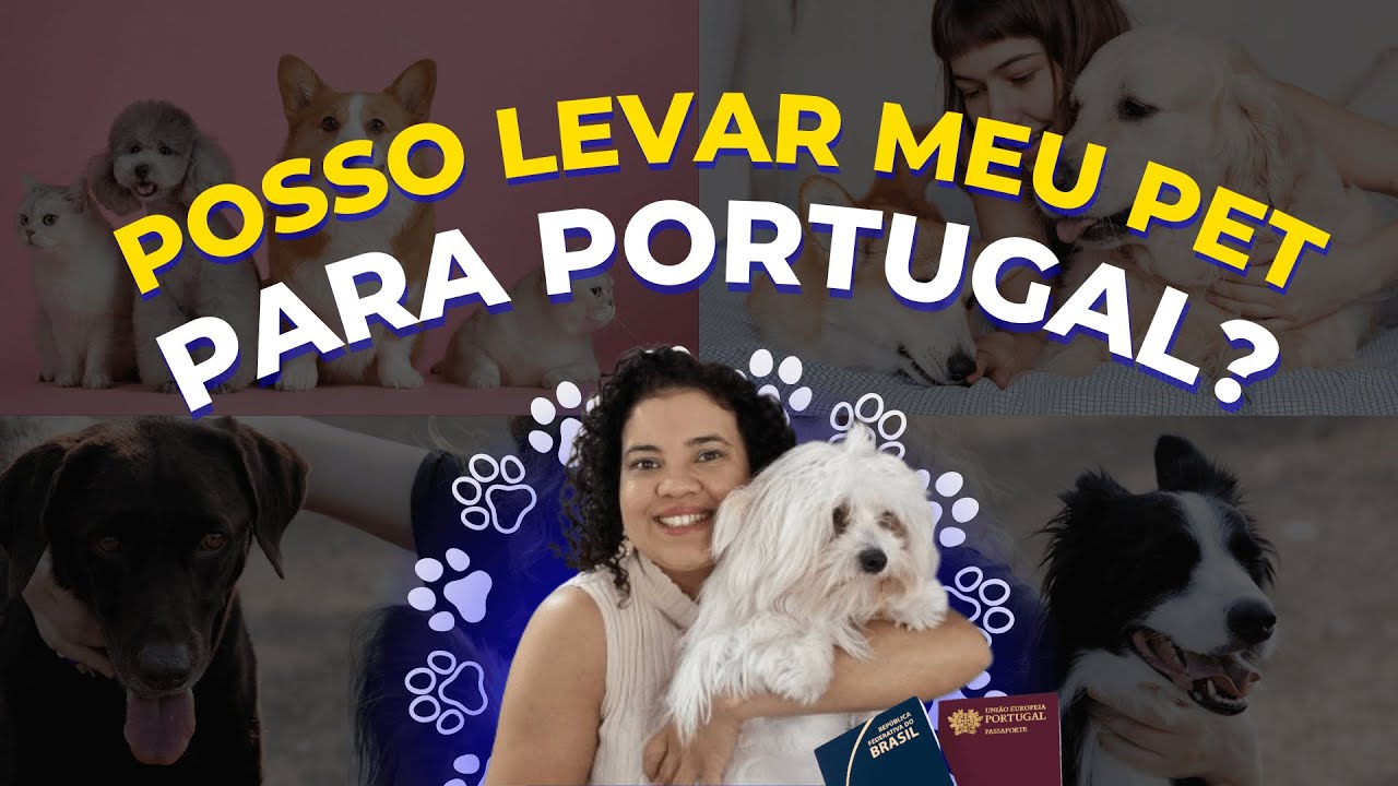 Posso levar meu PET para Portugal? | Por Edilene Gualberto