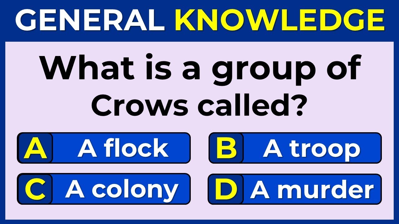 Only 5% Of People Can Score 25/25 on This General Knowledge Quiz!