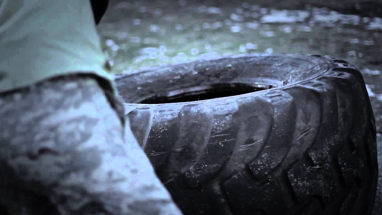 Greifvogel - Promovideo /// 2015