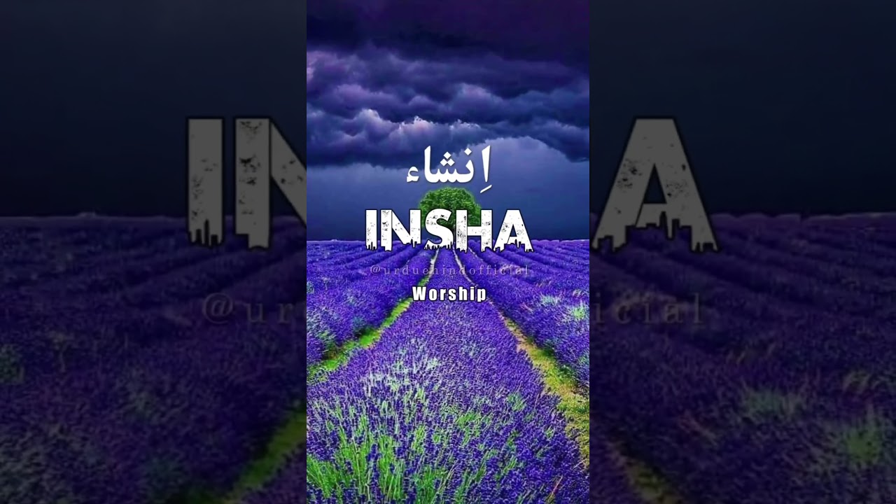 🌹Insha🌹 | Name Meaning Status || Urdu e Hind Official 