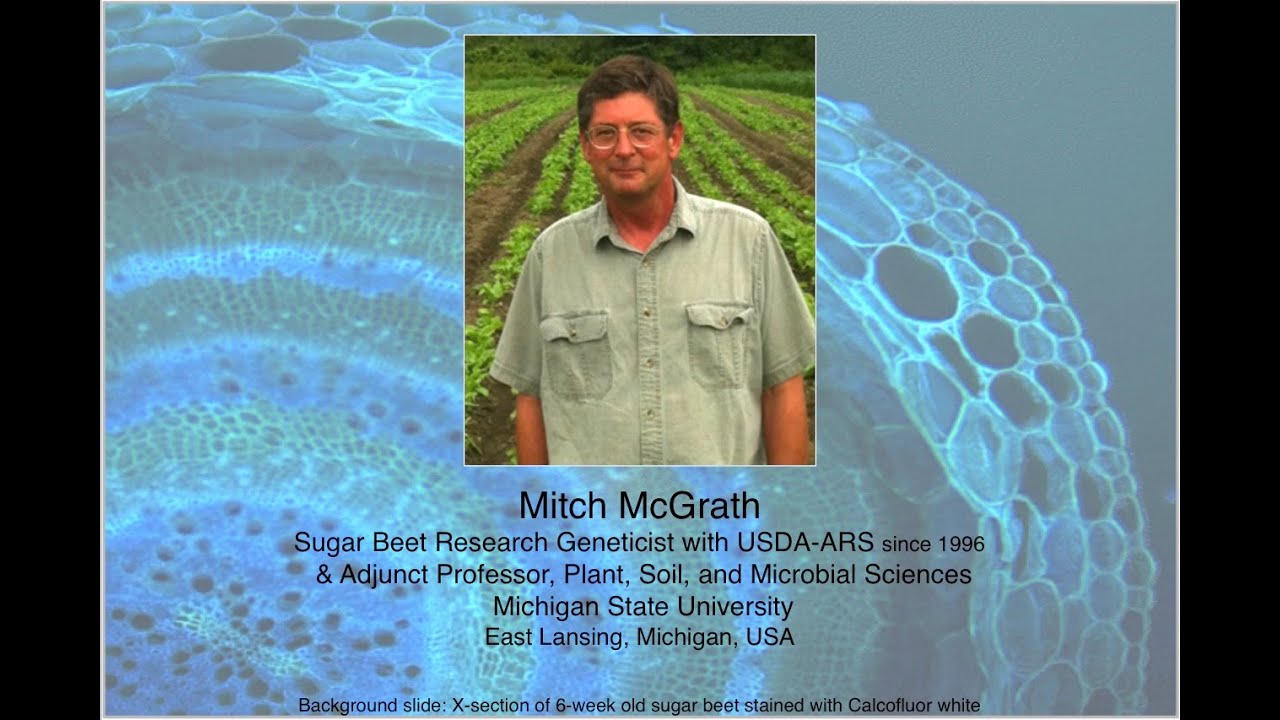 Sugar Beet Genetics, Genomics, and Germplasm Enhancement