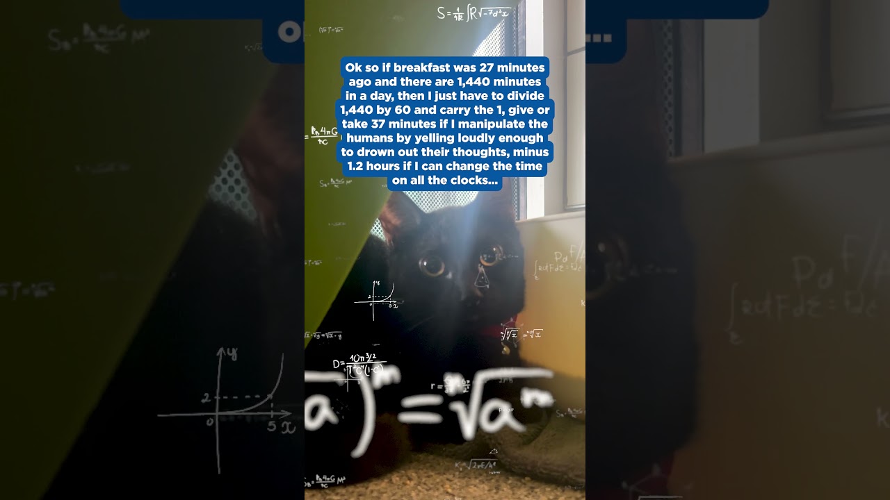 Cat Math