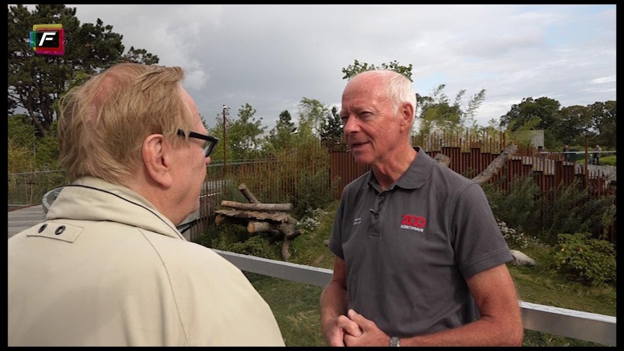 Opbygning af pandaanlæg i Zoo