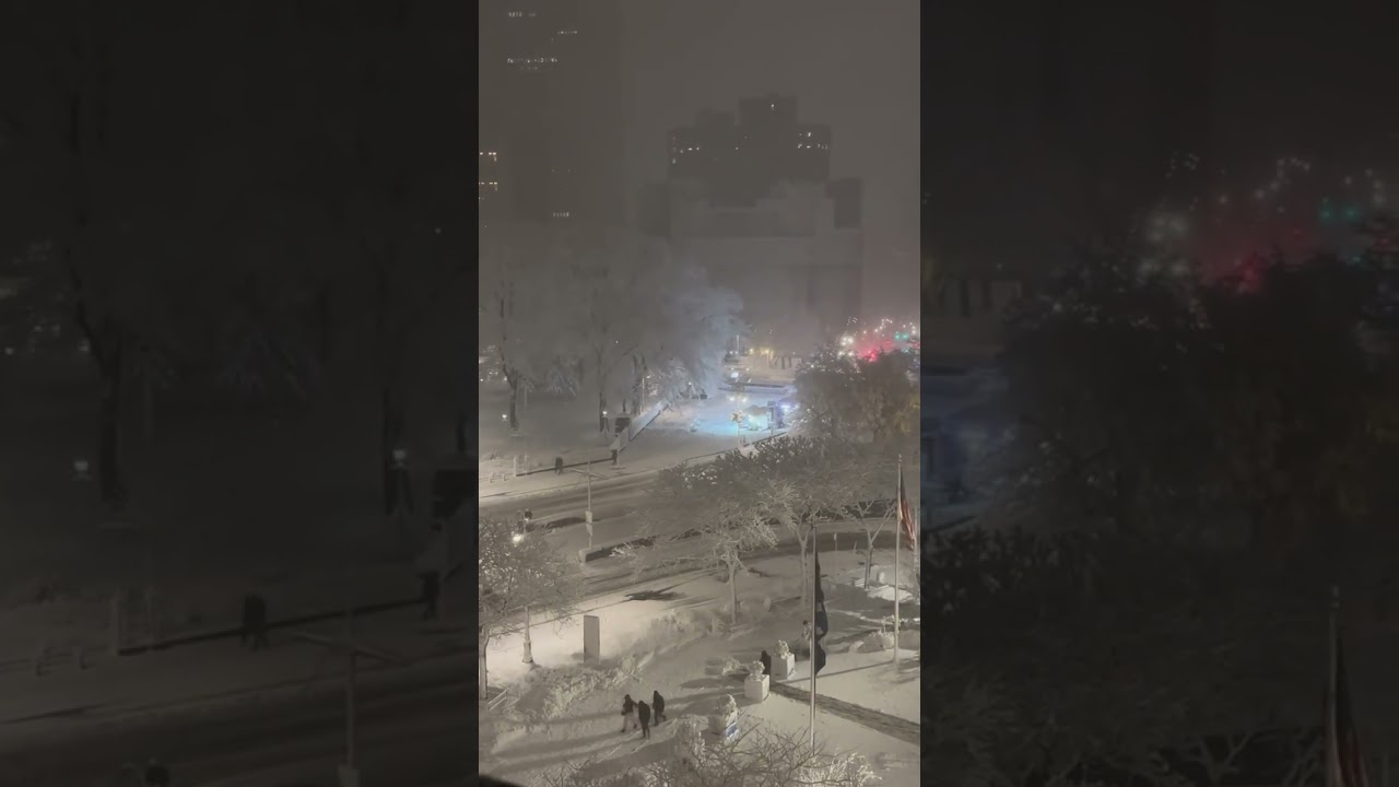 NYC Snow 2026 ❄️