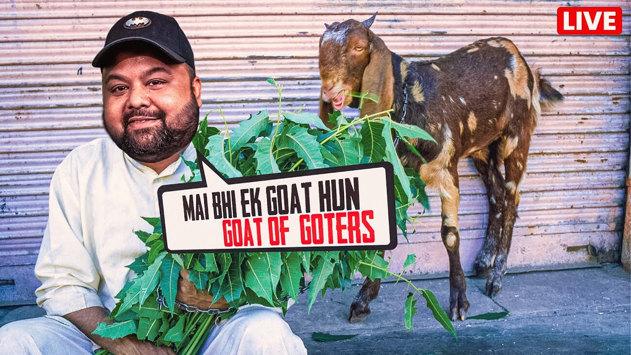 GOAT OF GOATERS GAMEPLAY