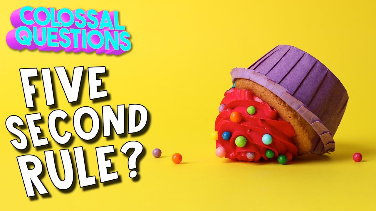 Is The &ldquo;5 Second Rule&rdquo; Real? | COLOSSAL QUESTIONS