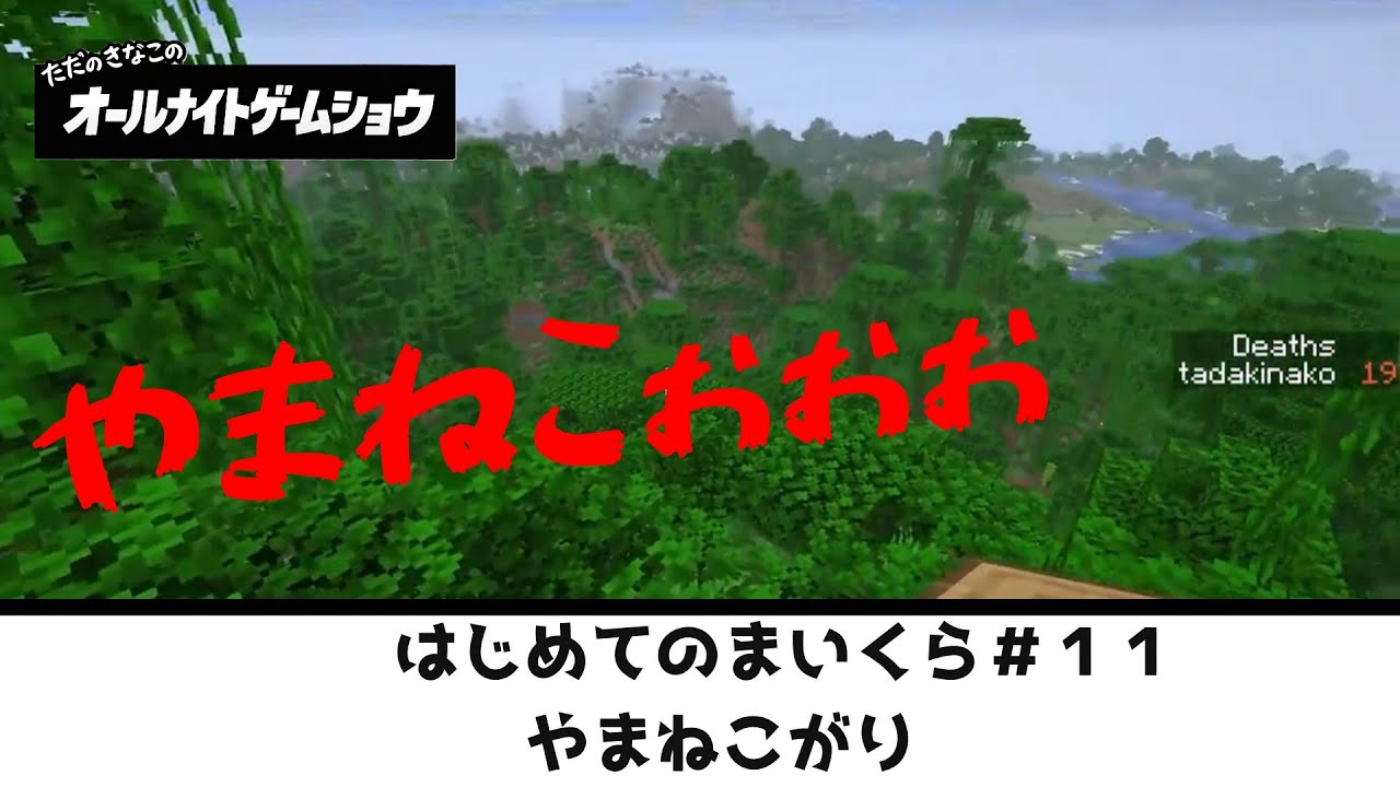 はじめてのまいくら＃11　【Minecraft】やまねこがり