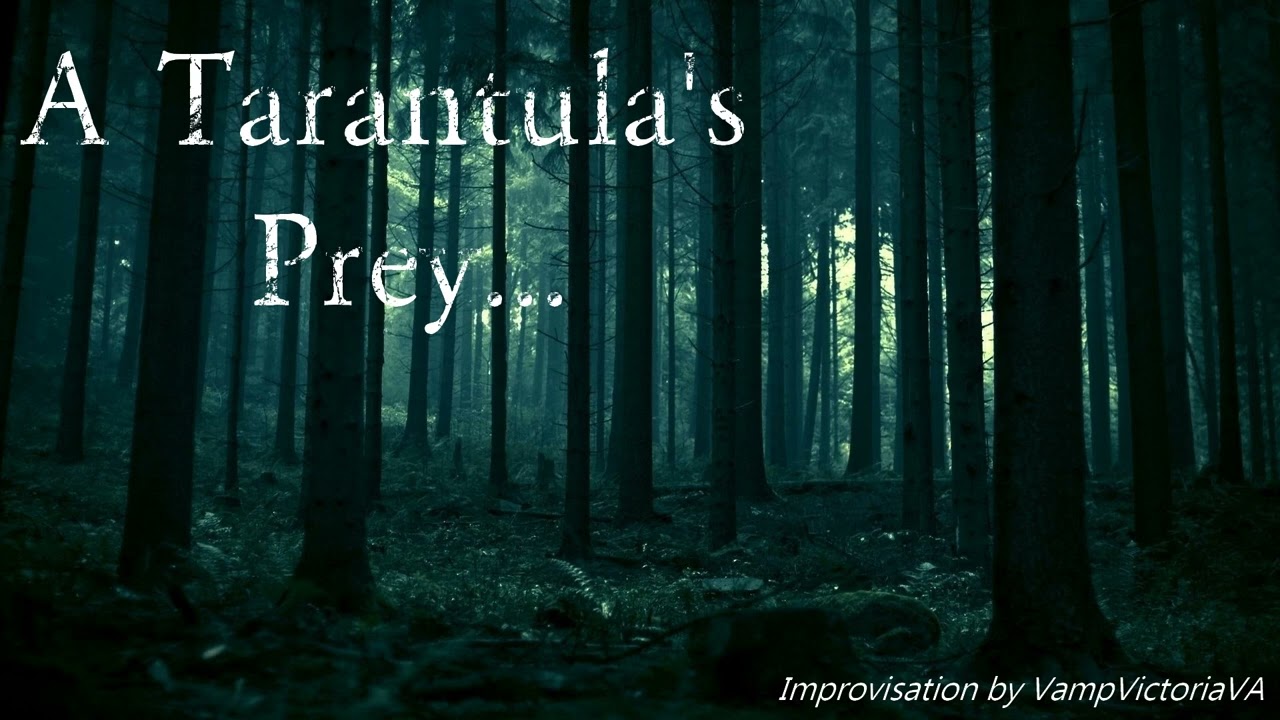 (F4A) A Tarantula's Prey... ASMR RP [Binural] [Drider] [Horror]