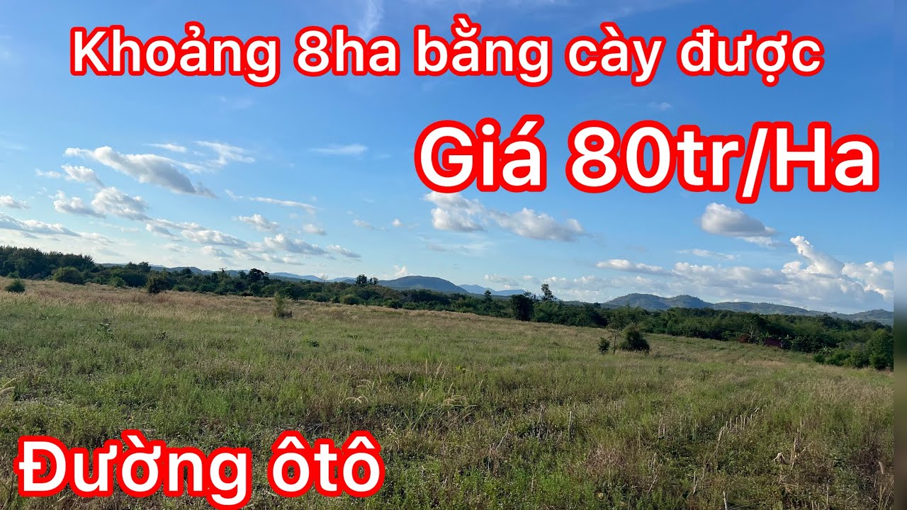 Cần nhượng khoảng 8ha phù hợp trồng trọt trang trại đất bằng cày được đường ôtô gần dân