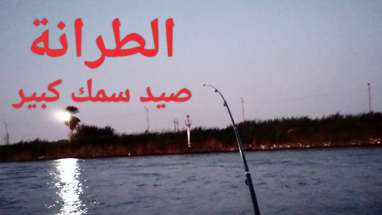 تجربة صيد سمك من الطرانة الرحلة الثانية 2 | ارتفاع منسوب المياه بعد العشاء |#الانوم #نهر_النيل 