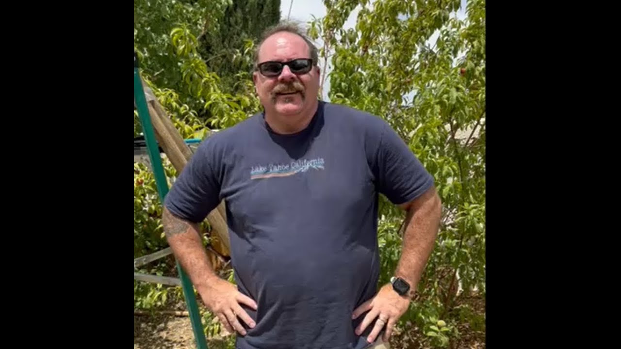 How to protect your fruit trees from the wind and fix a broken branch?