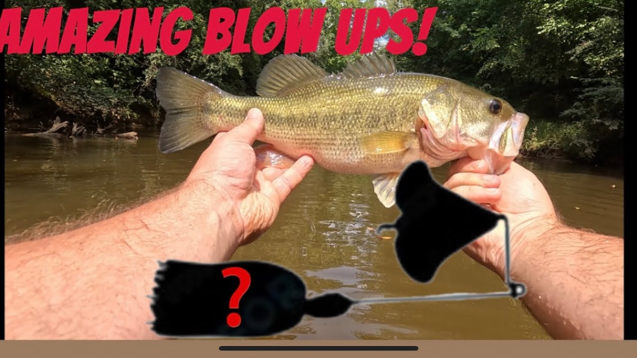 Is This my best top water river trip ever!!!?? Amazing blow ups!!